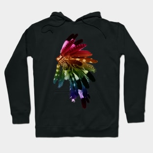 headdress Hoodie